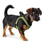 Harnais pour Chien Hunter Hilo-Comfort Citron Taille XXS (26-30 cm)