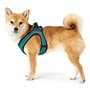 Harnais pour Chien Hunter Hilo-Comfort Turquoise Taille XS (35-37 cm)