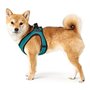 Harnais pour Chien Hunter Hilo Comfort 55-60 cm Taille M Turquoise