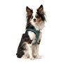 Harnais pour Chien Hunter Hilo Comfort 55-60 cm Taille M Turquoise