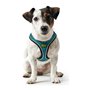 Harnais pour Chien Hunter Hilo Comfort 55-60 cm Taille M Turquoise