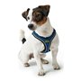 Harnais pour Chien Hunter Hilo-Comfort Bleu (30-35 cm)