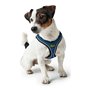 Harnais pour Chien Hunter 35-37 cm Bleu XS