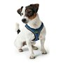 Harnais pour Chien Hunter Hilo-Comfort Bleu Taille S (42-48 cm)