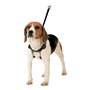 Harnais pour Chien Gloria 30-42 cm Taille M