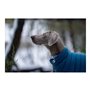 Manteau pour Chien Red Dingo Puffer Turquoise 25 cm