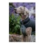 Manteau pour Chien Red Dingo Puffer Noir/Gris 60 cm