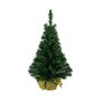 Sapin de Noël Everlands Vert (60 cm)