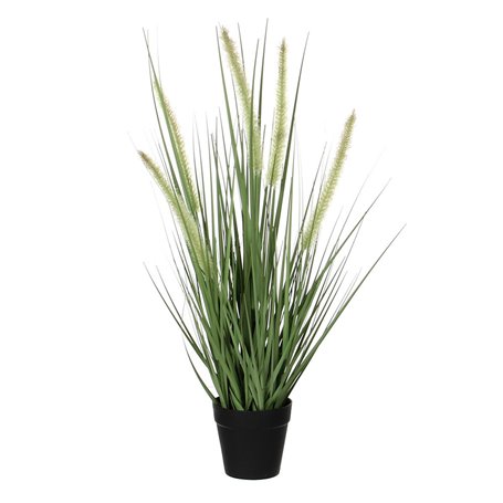 Plante décorative Mica Decorations Dogtail PVC