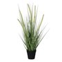 Plante décorative Mica Decorations Dogtail PVC