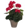 Plante décorative Mica Decorations 11,5 x 33 cm Rose PVC