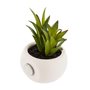 Plante décorative Atmosphera Aimant Vert PVC