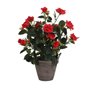 Plante décorative Mica Decorations Rosal Céramique PVC