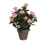 Plante décorative Mica Decorations Rosal Céramique PVC