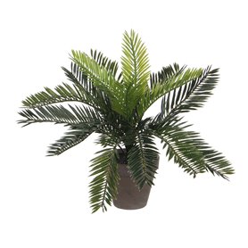 Plante décorative Mica Decorations Céramique Palmier (11,5 x 33 cm)