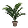 Plante décorative Mica Decorations 45 x 60 cm Céramique PVC Palmier