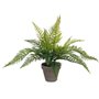 Plante décorative Mica Decorations 40 x 11,5 cm Céramique PVC Fougère