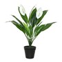 Plante décorative Mica Decorations Espatifilo PVC