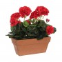 Plante décorative Mica Decorations Céramique Rouge PVC (29 x 13 x 40 c