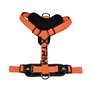 Harnais pour Animaux Domestiques Nayeco x-trm 35-60 x 1,5 cm Orange