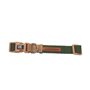 Collier pour Chien Nayeco 30-40 x 1,5 cm Beige Vert