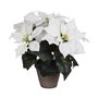 Plante décorative Blanc PVC (27 X 35 CM)