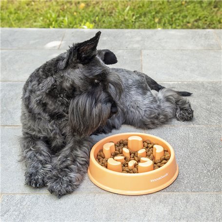 Gamelle à Alimentation Lente pour Animaux de Compagnie Slowfi InnovaGo