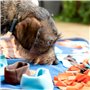 Tapis Olfactif pour Animaux de Compagnie Foopark InnovaGoods