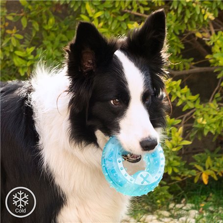 Jouet à Mordre 2 en 1 Congelable pour Animaux de Compagnie Glubiz Inno