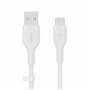 Câble USB A vers USB C Belkin CAB008BT1MWH Blanc 1 m  