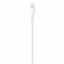 Câble USB-C vers Lightning Apple MM0A3ZM/A 1 m Blanc