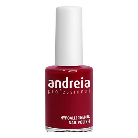 vernis à ongles Andreia Professional Hypoallergenic Nº 117 (14 ml)