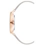 Montre Femme Nine West NW_2560RGGY
