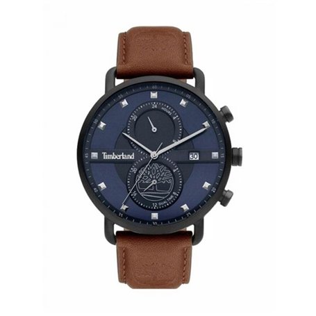 Montre Homme Timberland TDWGF2101003