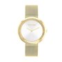 Montre Femme Calvin Klein 25200150