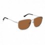 Lunettes de soleil Homme Polaroid PLD-2120-G-S-6LB-HE