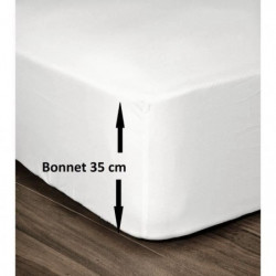LOVELY HOME Drap Housse 100% Coton 180x200cm - Bonnet 35cm 27,99 €