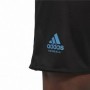 Short de Sport pour Homme Adidas Noir XL
