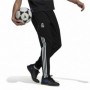 Jogging d'Entraînement de Football pour Adultes Adidas Condivo Real Ma XL