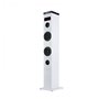 Haut-parleur NGS ELEC-SPK-0666 50W