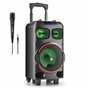 Enceinte Bluetooth avec Microphone Karaoké NGS WILD DUB ZERO Noir 120W