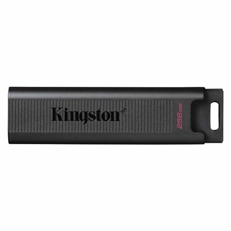 Clé USB Kingston DTMAX/256GB 256 GB