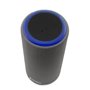 Haut-parleurs bluetooth portables CoolBox COO-BTA-G232 Gris