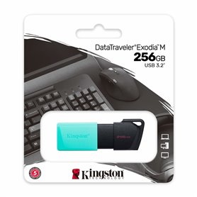 Pendrive Kingston DTXM/256GB Porte-clés Noir Turquoise 256 GB