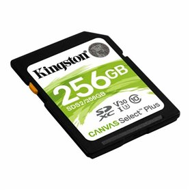 Carte Mémoire SD Kingston SDS2/256GB Noir 256 GB UHS-I