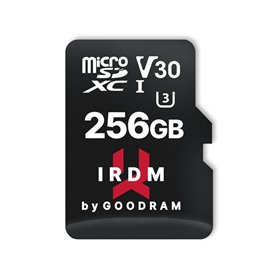 Clé USB GoodRam Noir 256 GB