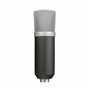 Microphone Trust 21753