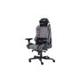 Chaise de jeu Newskill PRO Royale