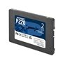 Disque dur Patriot Memory P220 2 TB SSD