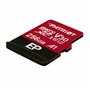 Carte Micro SD Patriot Memory PEF256GEP31MCX 256 GB